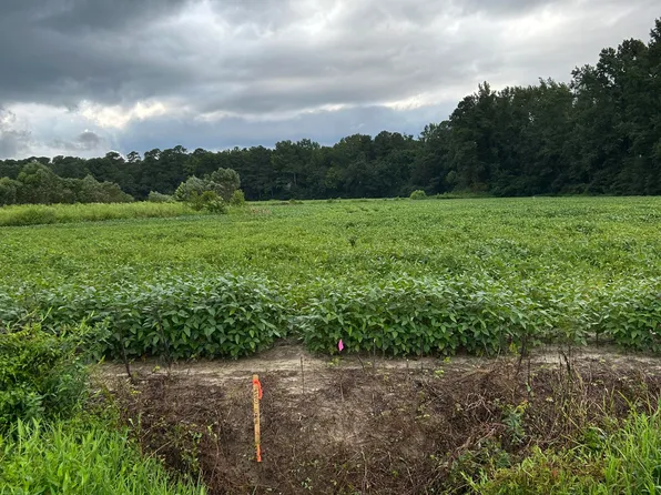 1 Hc Powers Road, Wallace, NC 28466