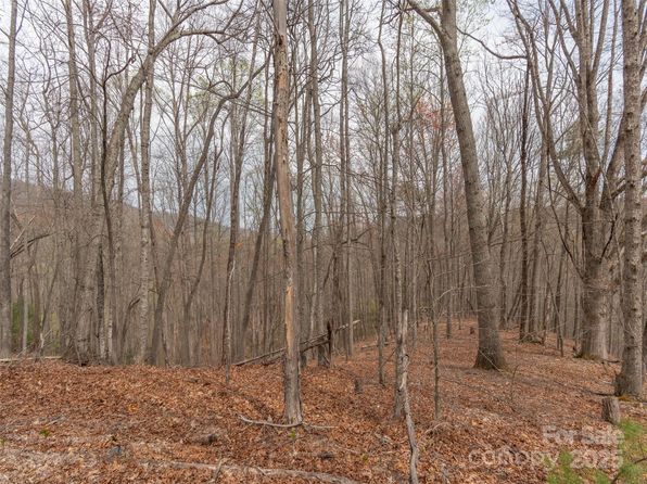 0 Michele Ln UNIT 4, Leicester, NC 28748