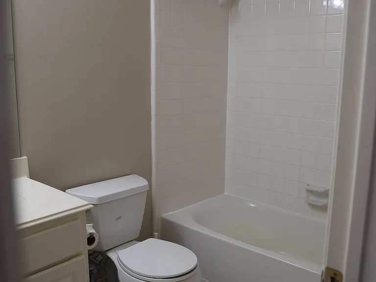 4323 Lakeside Meadow Dr — Photo 11