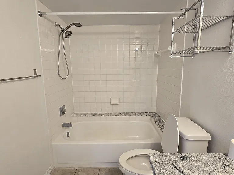 1000 W Horatio St #220 — Photo 17