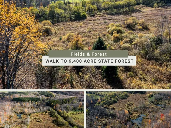 0 Pope Hill Rd, West Edmeston, NY 13485