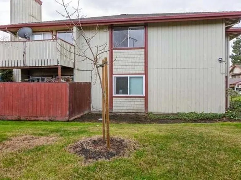 Cheryl Ann Cir — Photo 13