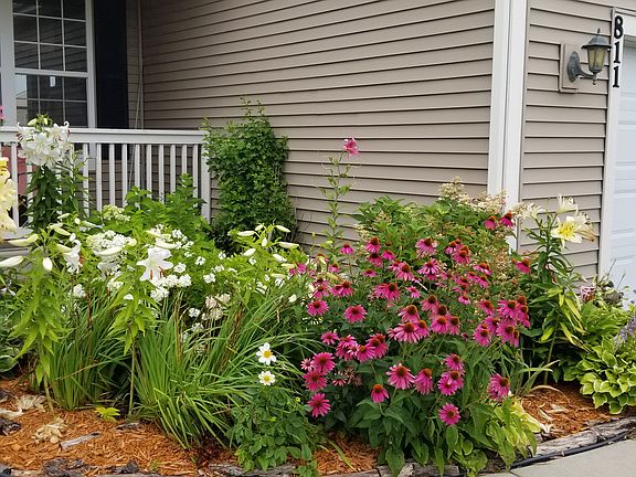3rd image of 811 Verdi Ct