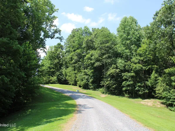 10164 Green River Rd, Lake Cormorant, MS 38641