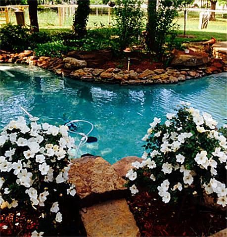 1st image of 1501 Mossy Rock Cir
