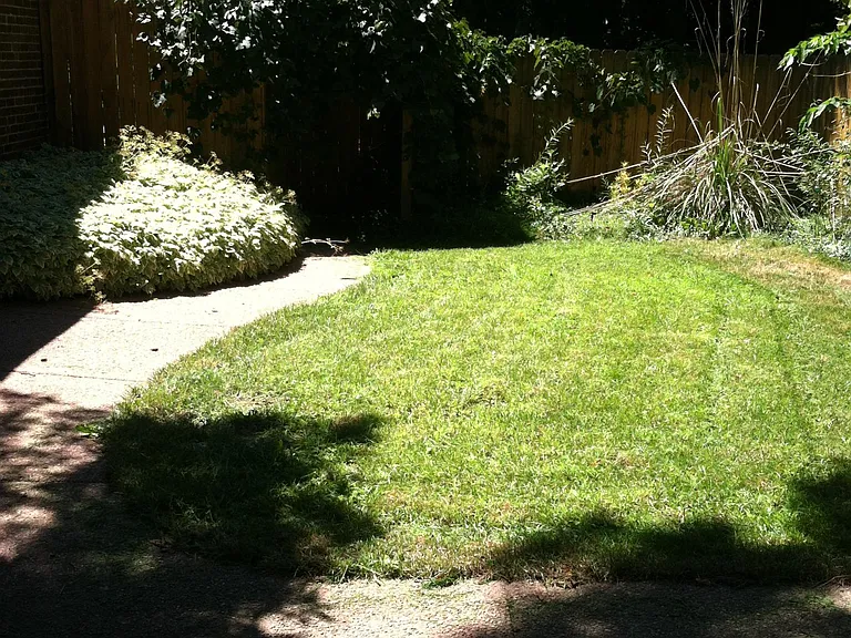 Back Patio