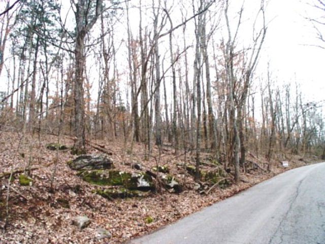 1st image of Skyline Dr