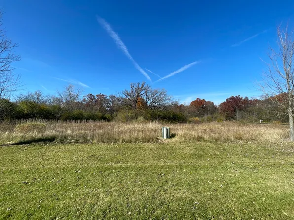 40388 N Belle Foret Dr, Wadsworth, IL 60083