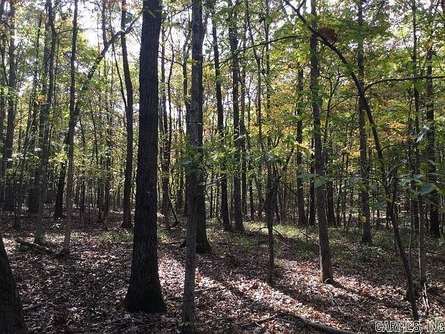 1st image of Unk Polk Rd #293