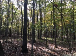 Unk Polk Rd #293, Mena, AR 71953