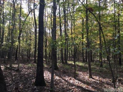 Unk Polk Rd #293, Mena, AR, 71953