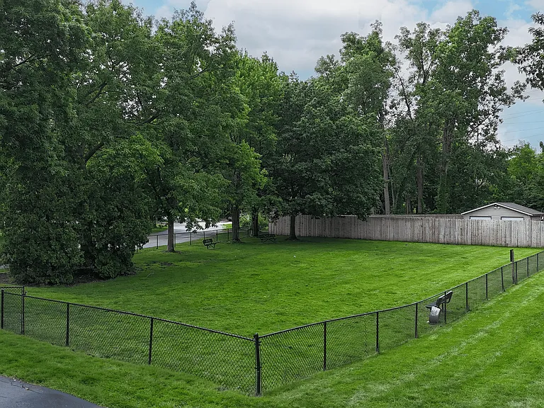 Enclosed Dog Park