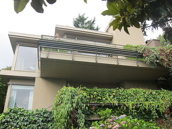 looking up from garden