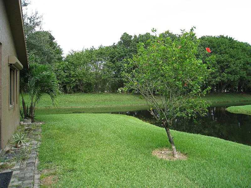 3 bed, 1317 sqft, $3,100 — Photo 2