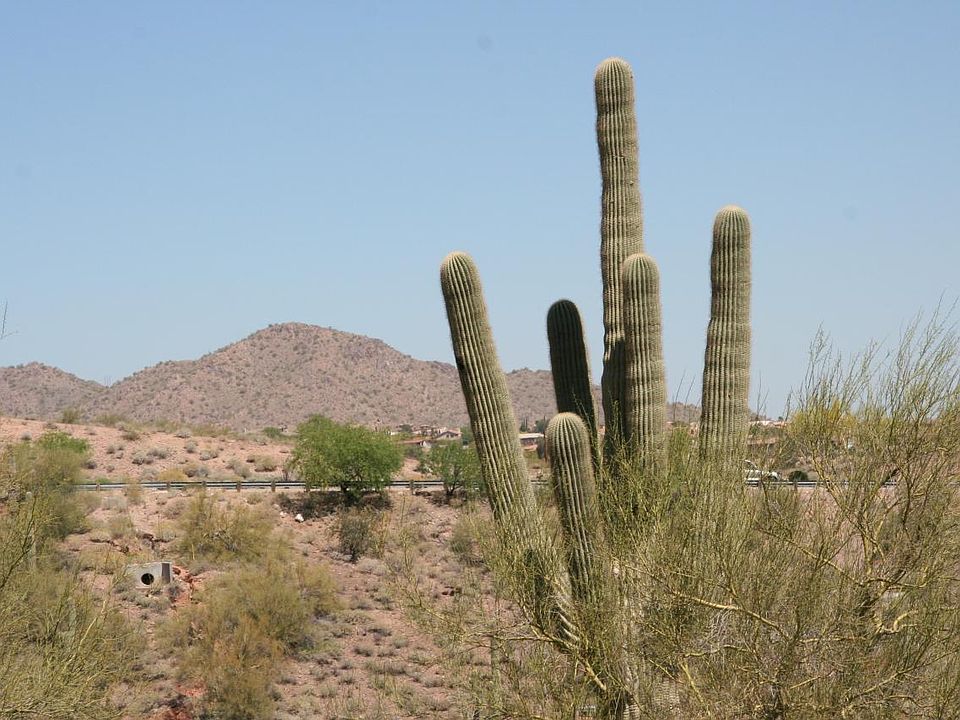 1st image of 15220 E CHOLLA CREST Trail #7