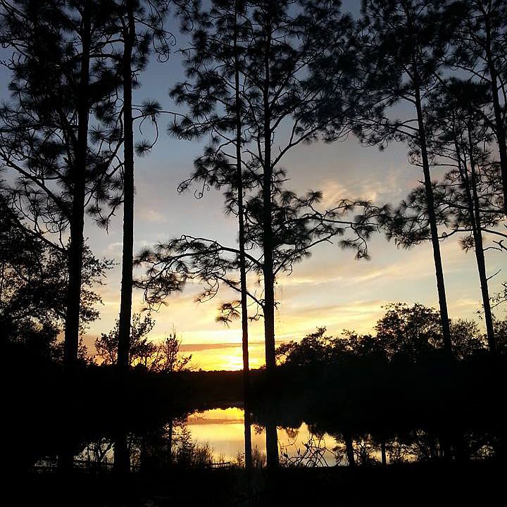 Sunsets on the pond