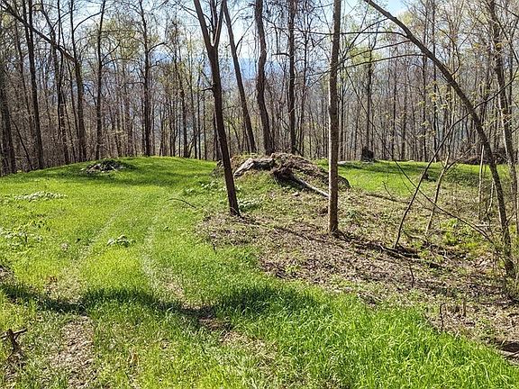 2nd image of 841 Hemlock Falls Rd