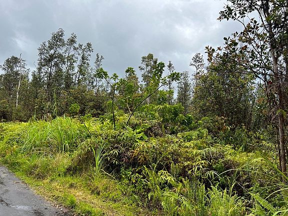 4th image of Road 4 Kea #Io