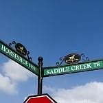 2nd image of 1878 Horseshoe Bnd