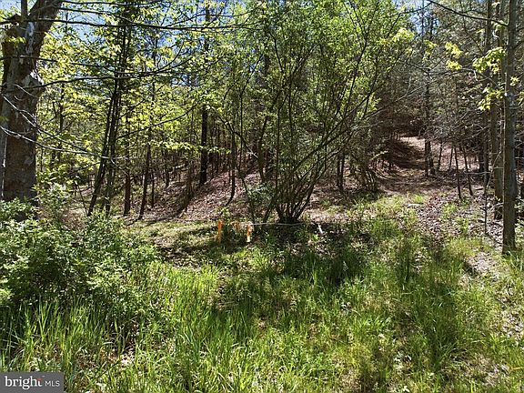 4th image of Off Virginia Line Rd