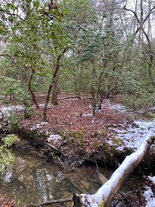 5 Colony Rd, Coalmont, TN, 37313