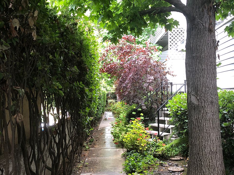 garden walkway