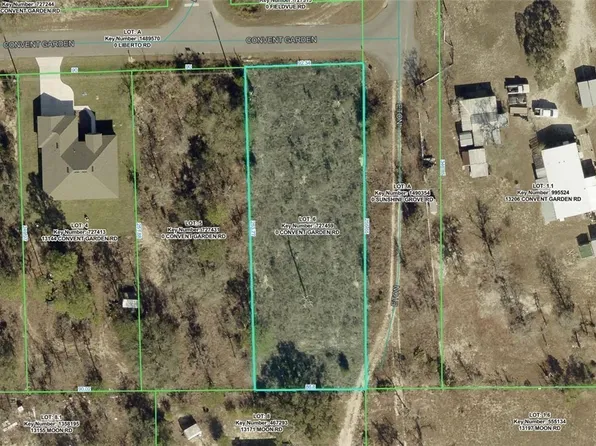 13162 Convent Garden Rd, Brooksville, FL 34613