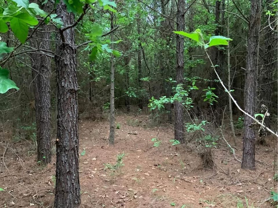 2nd image of County Road 1110