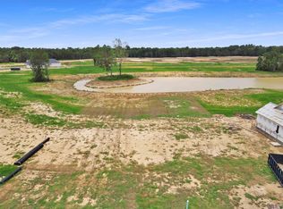 43514 Collyns Cv, Prairieville, LA 70769