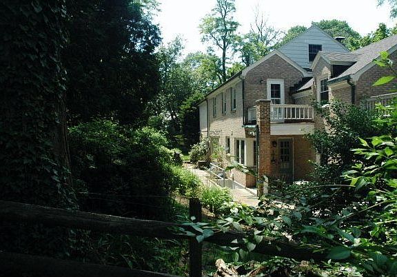 Backyard view from edge of property