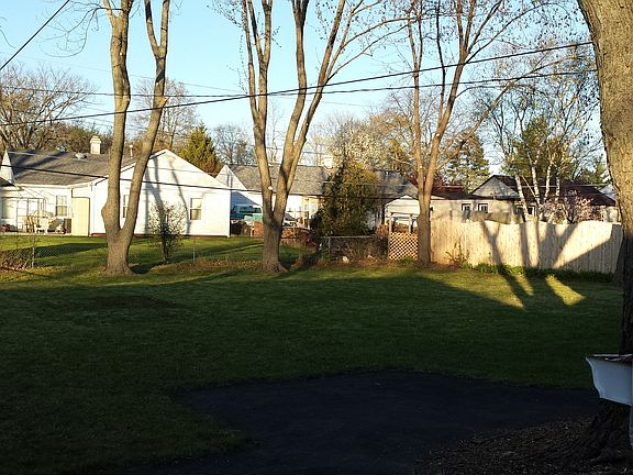 back yard