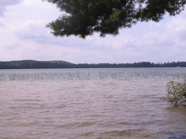 0 Ray Ave, Grayling, MI 49738