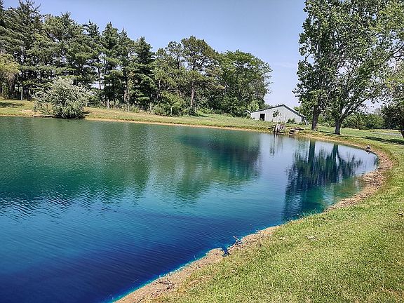 Swimming pond view
