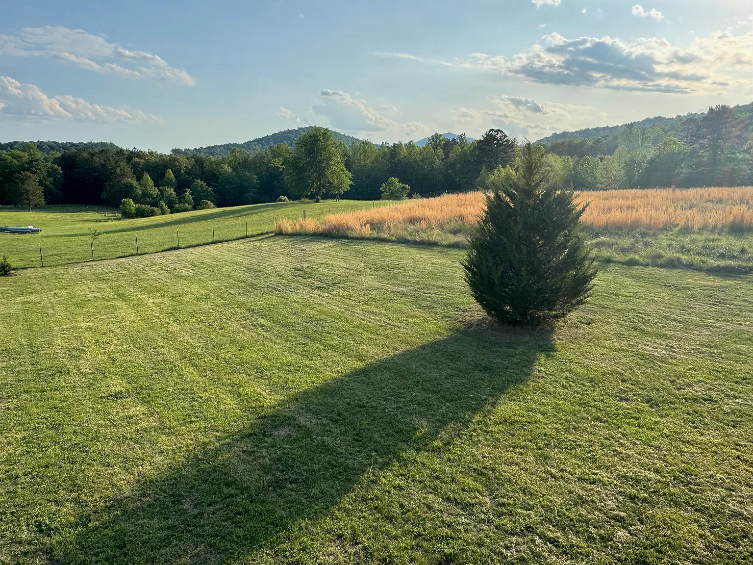 5 bed, 3753 sqft, $4,500 — Photo 4