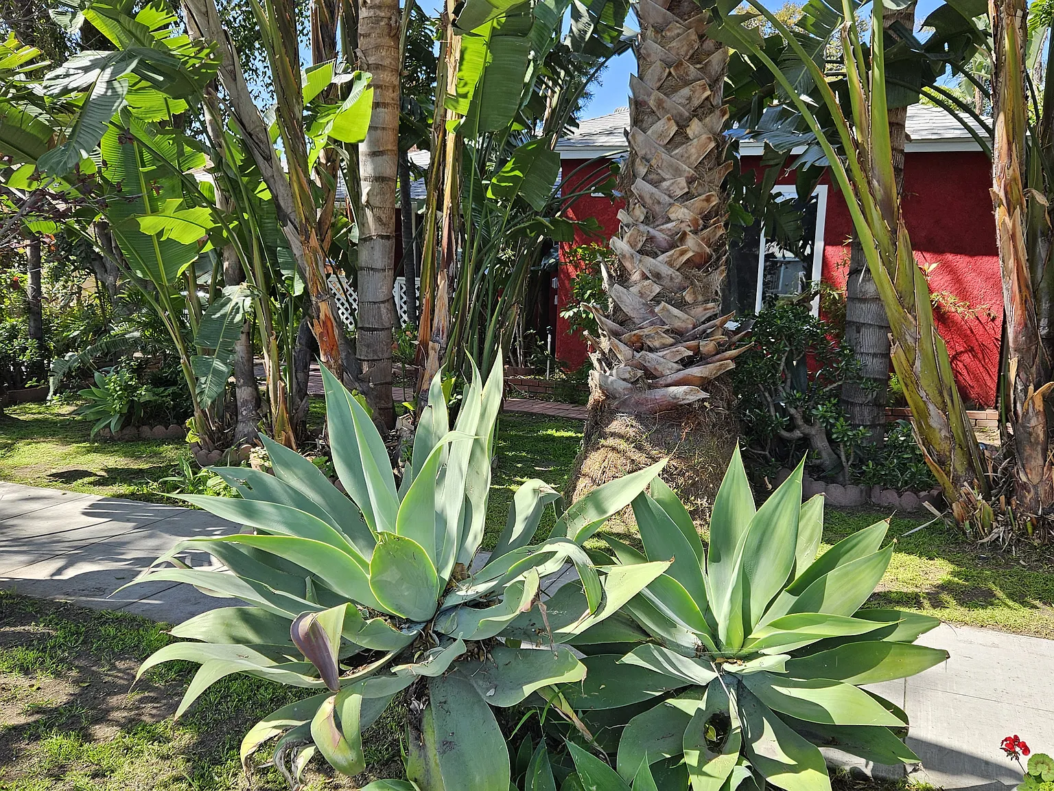 Daisy Avenue, Long Beach — Photo 3