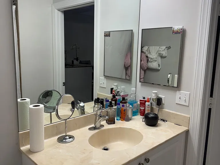 Second Bathroom with large vanity, Spa Tub and Shower