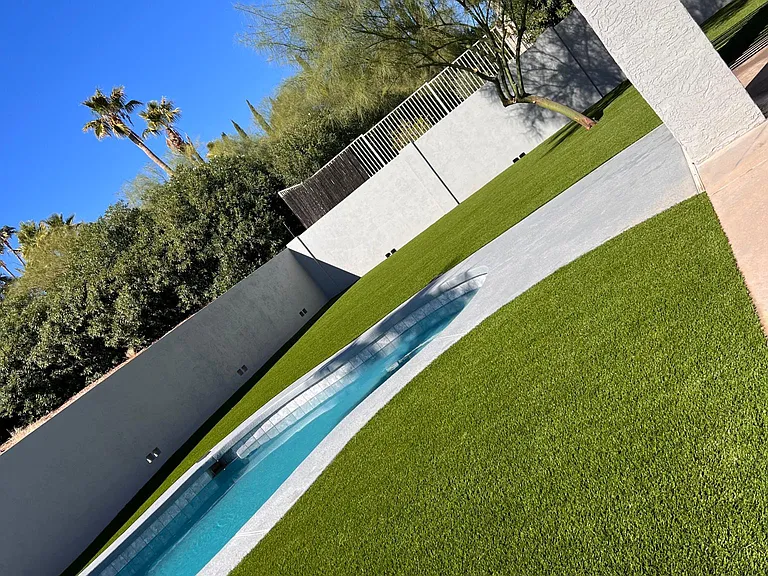 Backyard Oasis