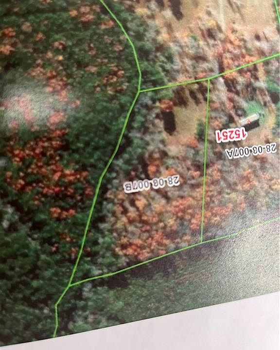 2nd image of 7B Strawberry Plain Rd