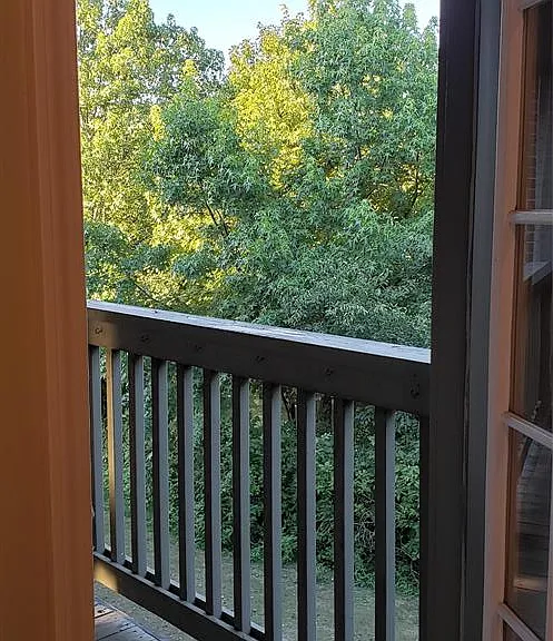 28292 Carlton Way Dr — Photo 28