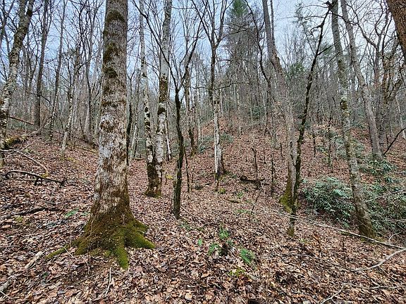 5th image of 0 Middle Creek Rd