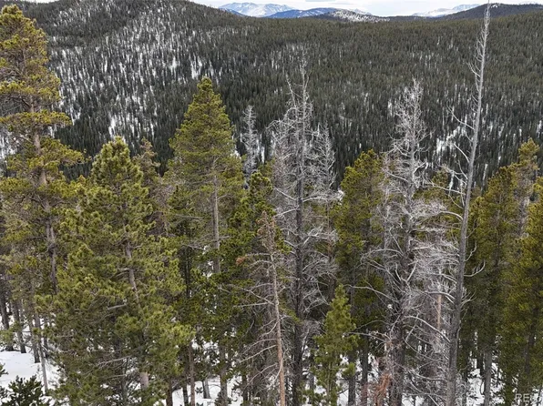 156 Vista Road LOT 38, Idaho Springs, CO 80452