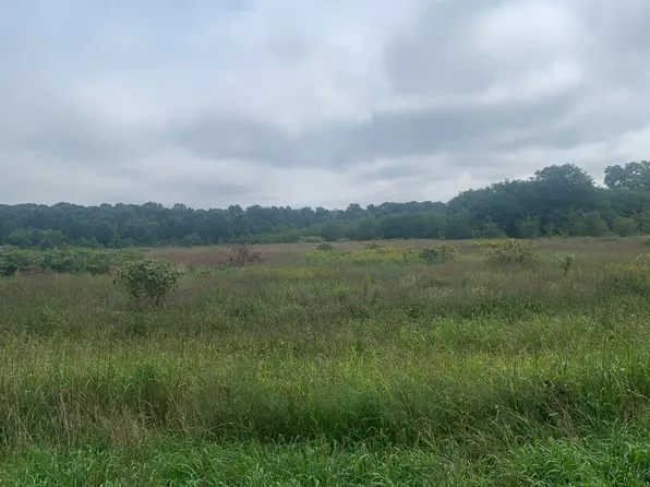 41820 County Road 352, Decatur, MI 49045