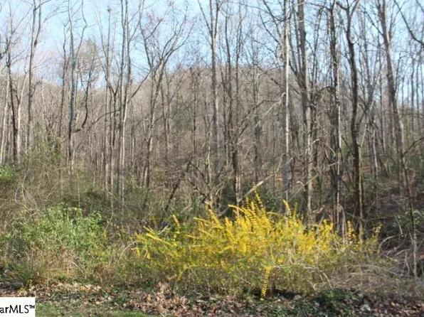 0 Glendlyon Dr Tract B, Landrum, SC 29356