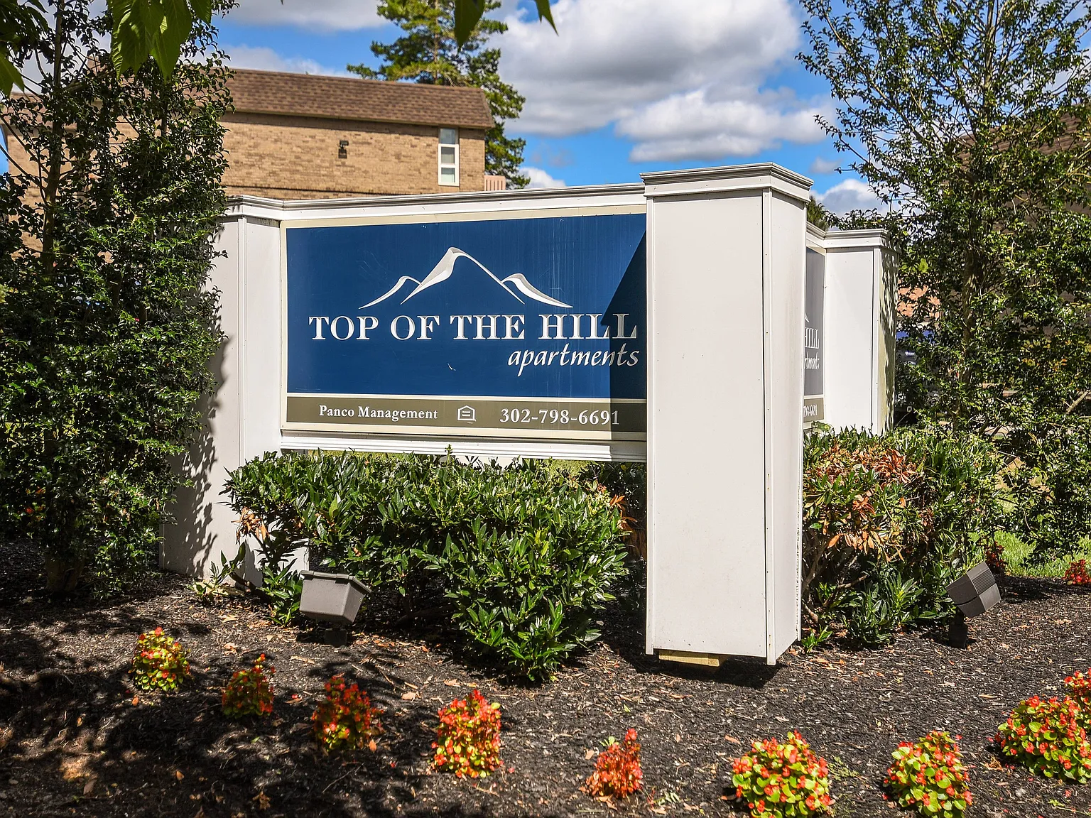 Top of the Hill Apartments — Photo 1