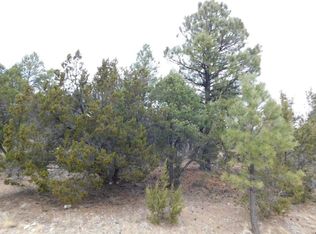 2950 Ranch House Rd, Overgaard, AZ 85933