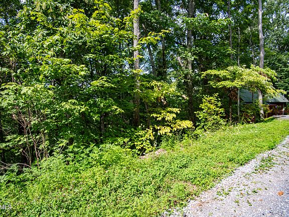 3rd image of N Dogwood Ln