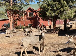 434 Beaver Trl, Bailey, CO 80421