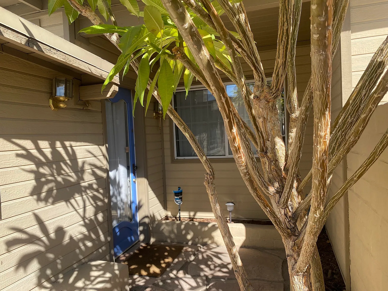 1 bed, 800 sqft, $2,200 — Photo 2