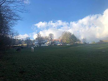 View from bottom pasture.