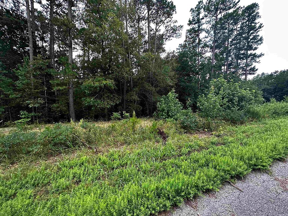 2nd image of 62 Green Creek Trl